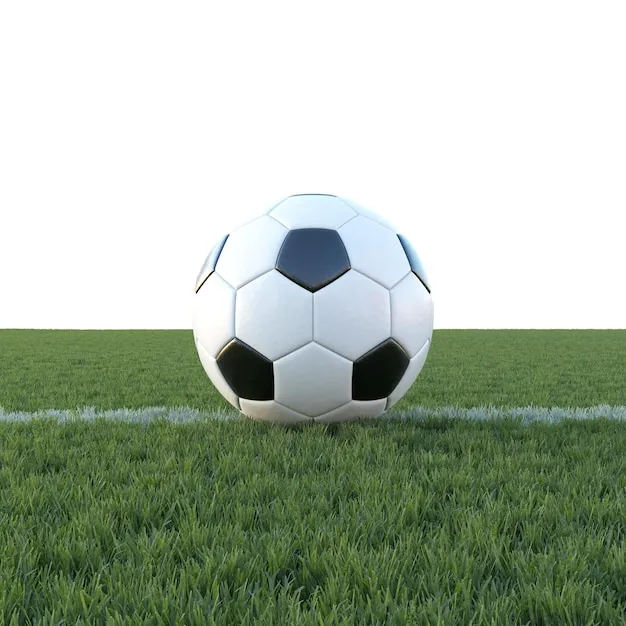 NBL直播体育 体育赛事背景